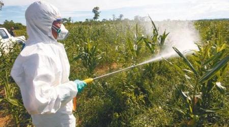 En Bolivia la cantidad de agrotóxicos que ingresan al país es alarmante: analista  Fabrizio Uscamayta