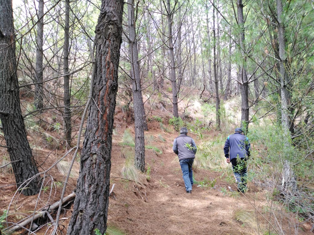 La ABT elige reflexionar sobre las circunstancias actuales y el rol de los bosques en su aniversario 11