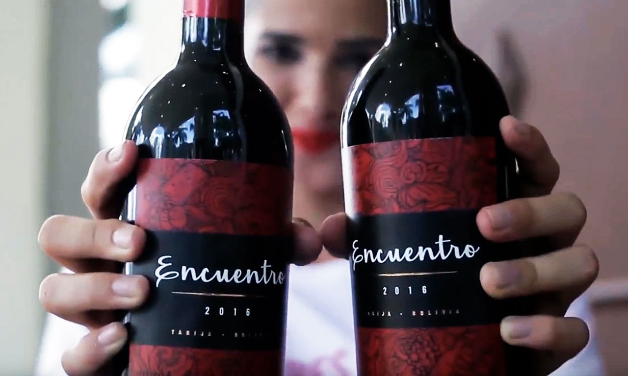 Cuatro vinos de Campos de Solana elaborados con la uva roja más cultivada del mundo