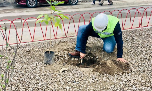 Embol apoya el Día Mundial del Agua con la siembra de árboles en Cochabamba