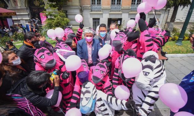 La Paz se viste de rosa para luchar contra el cáncer de mama.